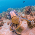 PolarPro GoPro Hero5/6/7 Super Suit raudonas filtras / Red Filter