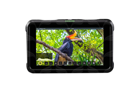 Atomos Shinobi 5” monitorius / 4K HDMI Monitor