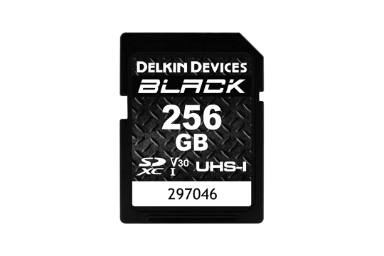 Delkin SD Black Rugged UHS-II (v30) R90/W90 256Gb