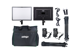 Ledgo LG-e268c 2 Light Kit width Stand And Bag