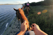 GoPro galvos diržai + greitas segtukas / Head Strap 2.0