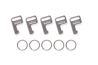 GoPro žiedai pultelio tvirtinimui / Wi-Fi Attachment Keys + Rings (laikiklis be žiedo)