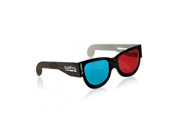 GoPro GoPro 3D Glasses