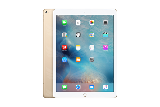 Apple iPad Pro - Auksinė