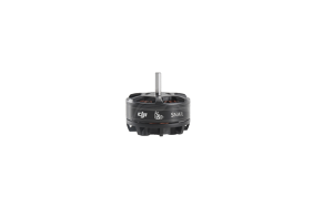 DJI Snail 2305 Lenktyninis motoras / Racing Motor